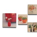 Conjunto de cuadros de plantas y flores